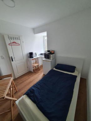 Goldfisch-1-Person